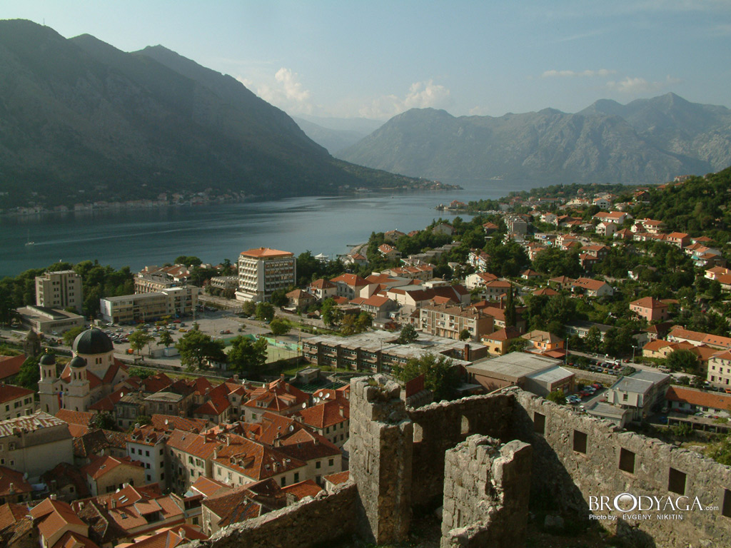 Kotor